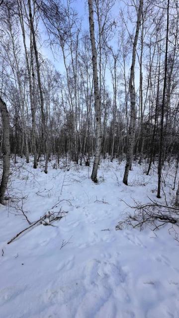 Фото квартиры 2
