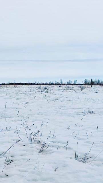 Фото квартиры 2