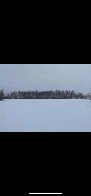 Фото квартиры 3