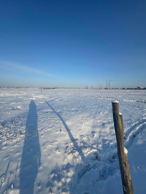 Фото квартиры 2