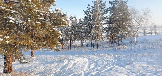 Фото квартиры 2