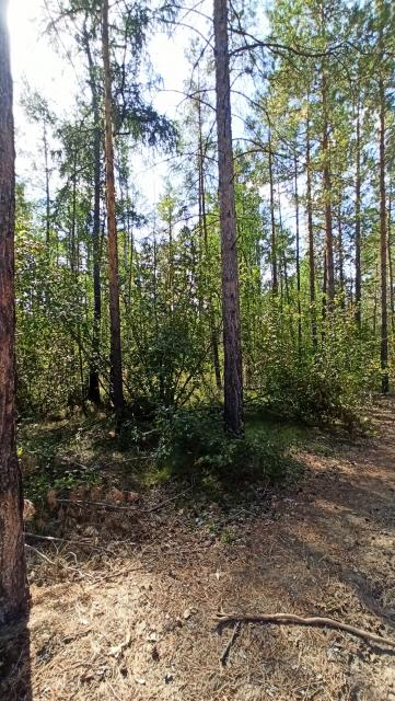 Фото квартиры 3