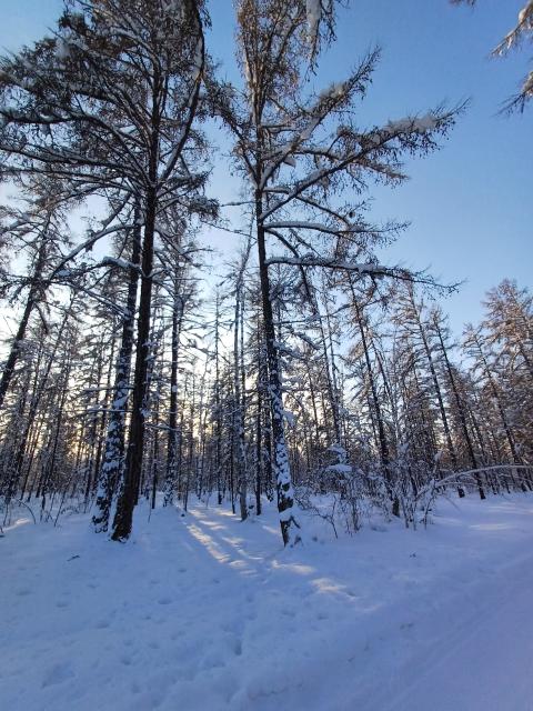 Фото квартиры 2
