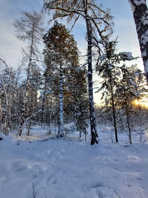 Фото квартиры 3