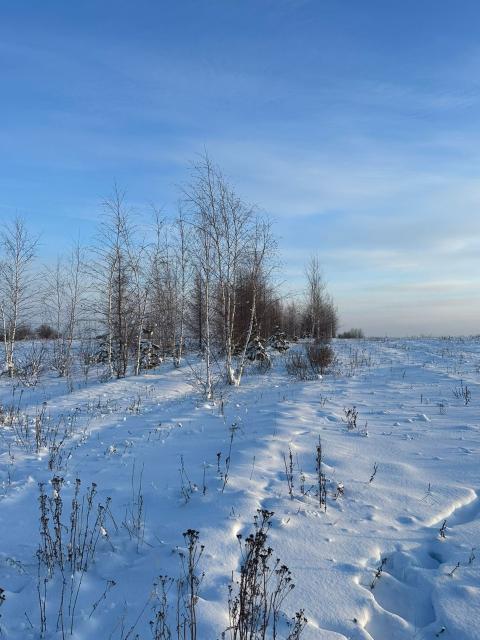 Фото квартиры 2