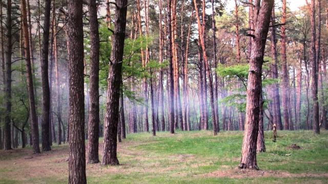 Фото квартиры 2