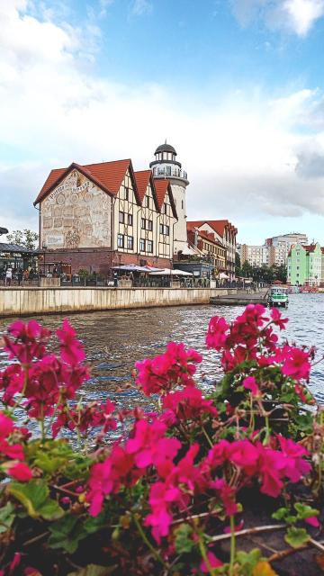 Фото квартиры 3
