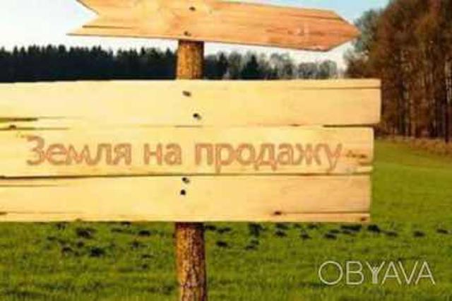 Фото квартиры 2
