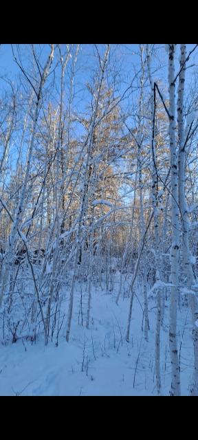 Фото квартиры 4
