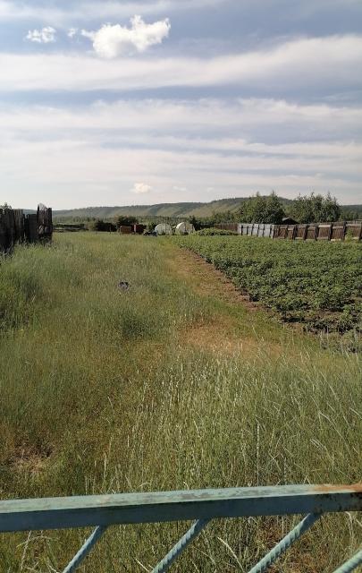 Фото квартиры 2