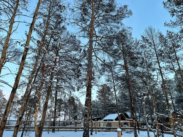 Фото квартиры 2