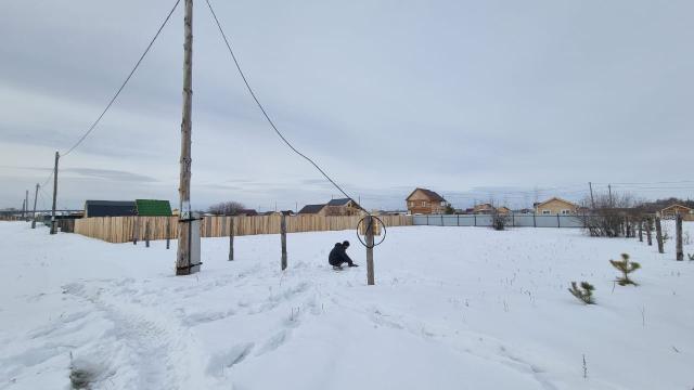 Фото квартиры 2