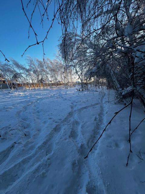 Фото квартиры 3