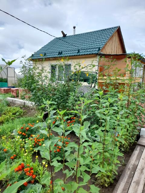 Фото квартиры 2