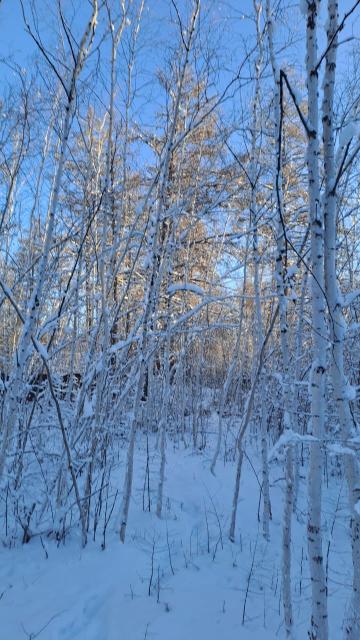 Фото квартиры 3
