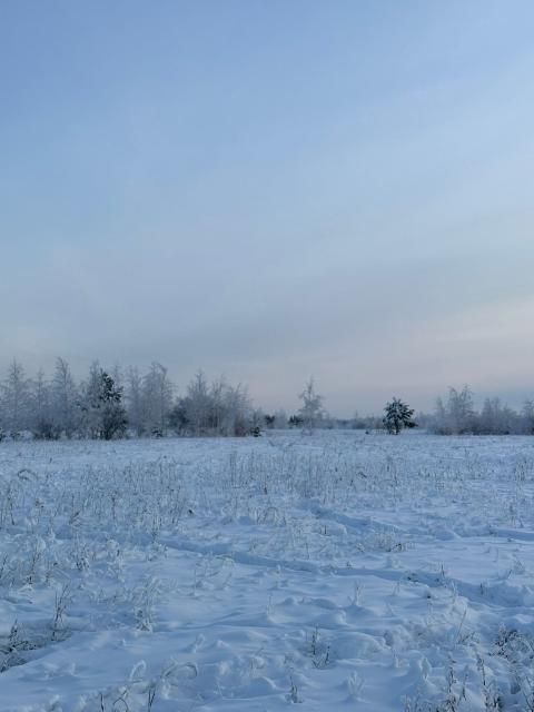 Фото квартиры 2