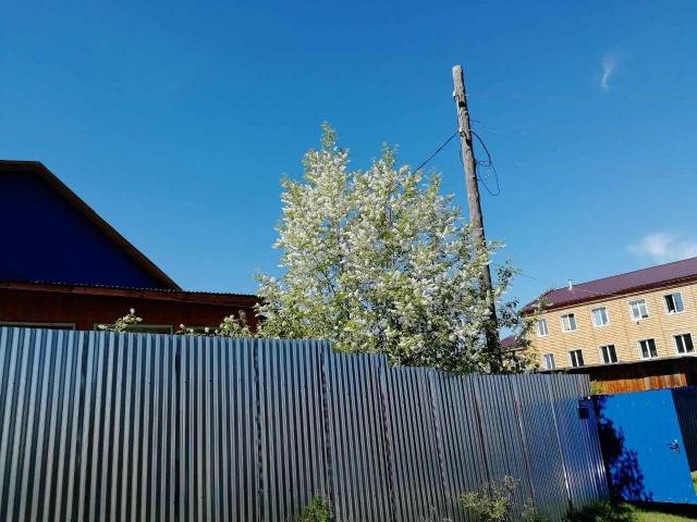 Фото квартиры 3