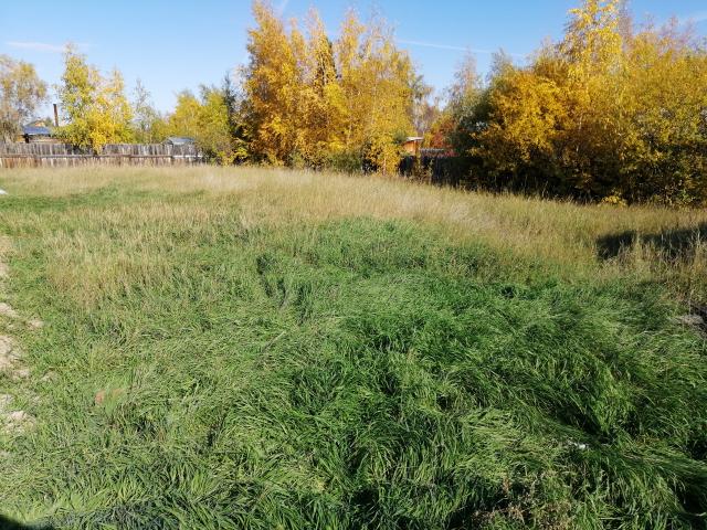 Фото квартиры 2