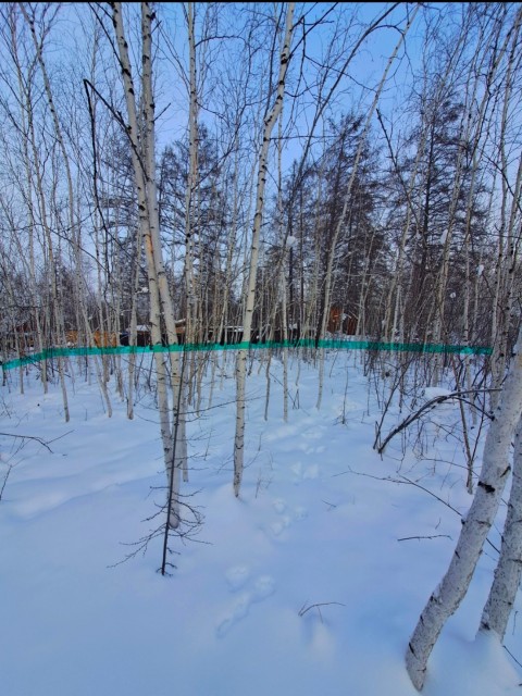 Фото квартиры 2