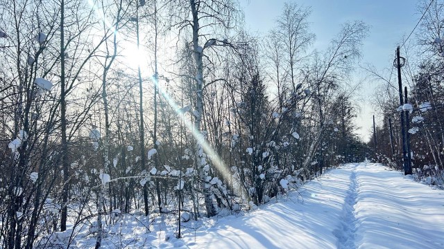 Фото квартиры 3