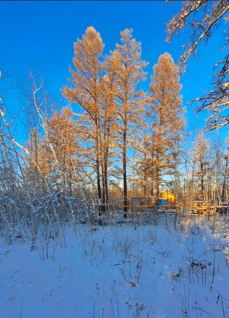 Фото квартиры 3