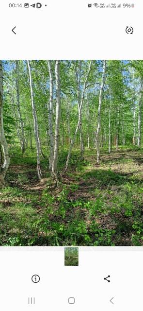 Фото квартиры 3