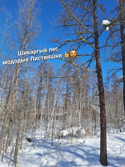 Фото квартиры 3
