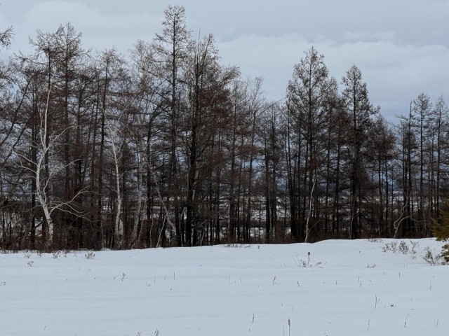 Фото квартиры 2
