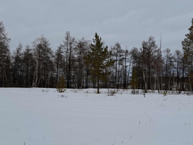 Фото квартиры 3
