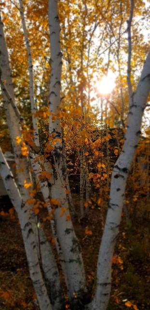 Фото квартиры 3
