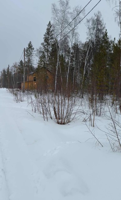Фото квартиры 2