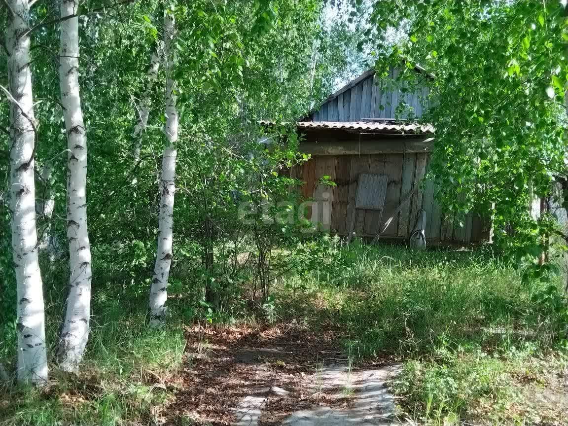 Фото квартиры 3