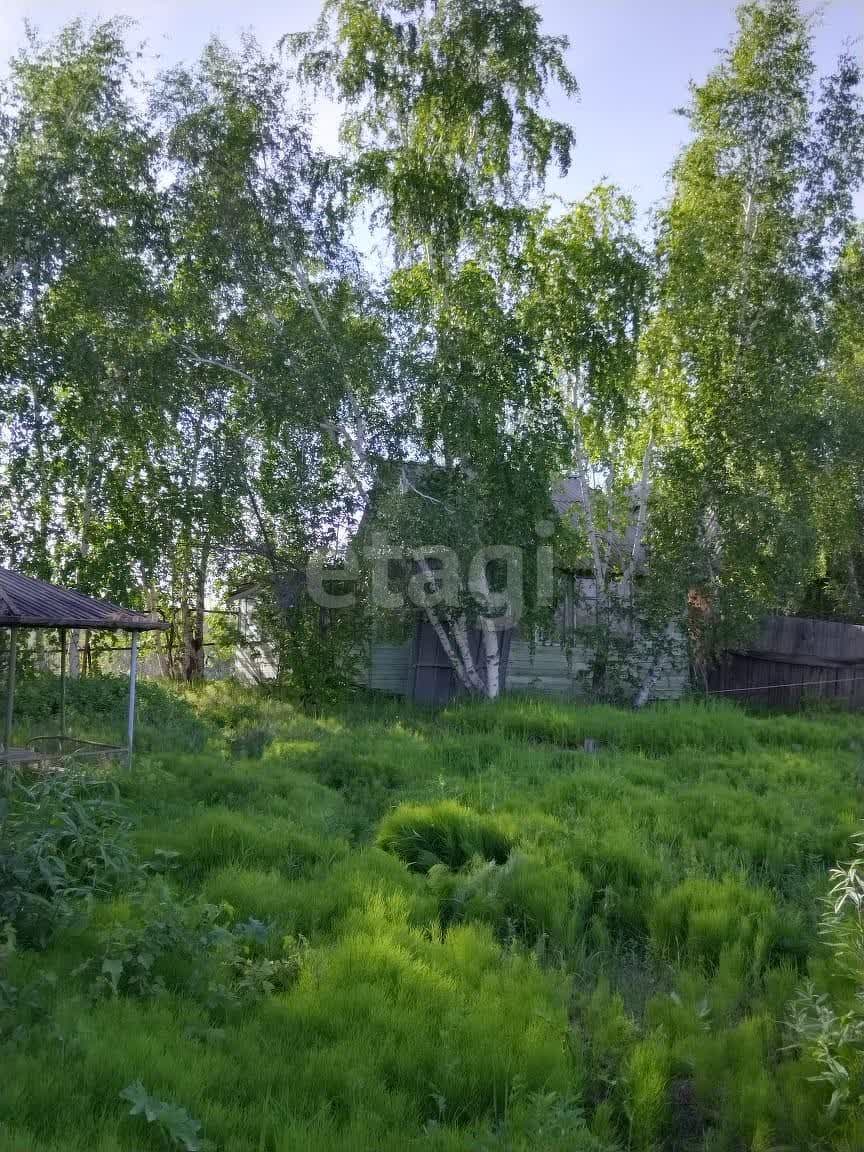 Фото квартиры 2