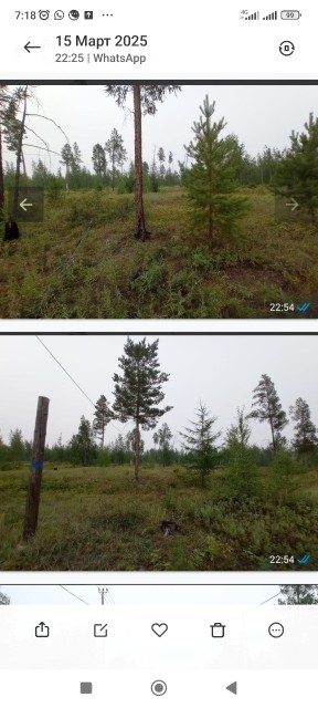 Фото квартиры 2