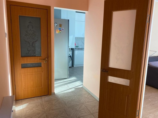 Фото квартиры 3