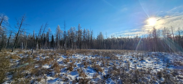 Фото квартиры 2
