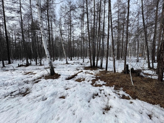 Фото квартиры 3