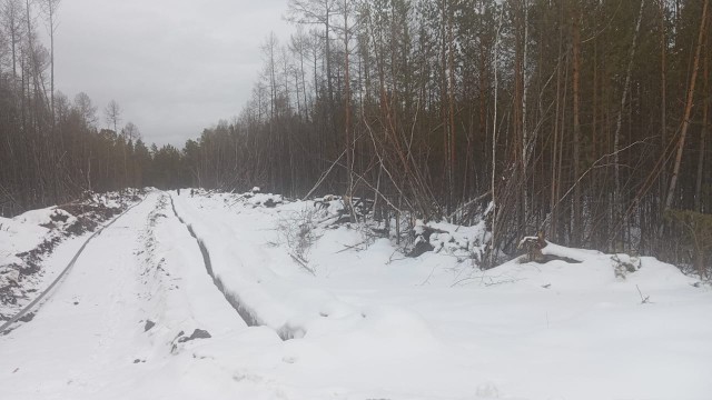 Фото квартиры 2