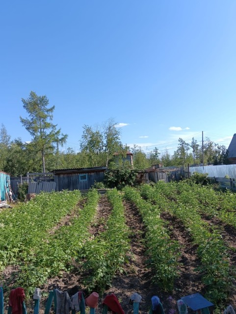 Фото квартиры 2