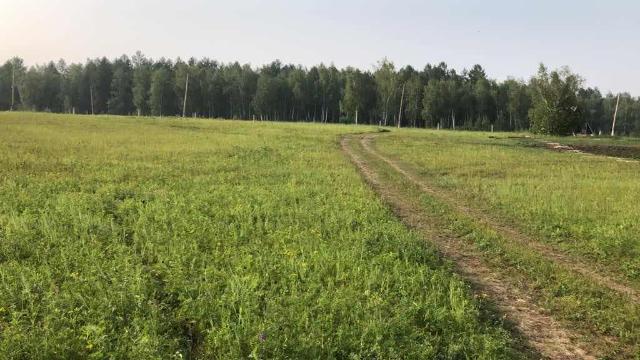 Фото квартиры 3