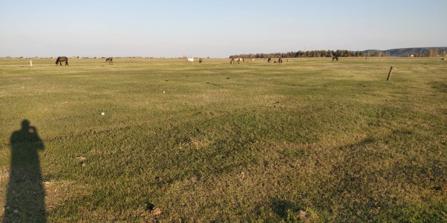 Фото квартиры 2