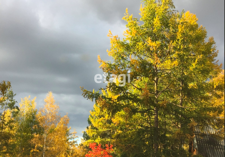 Фото квартиры 3