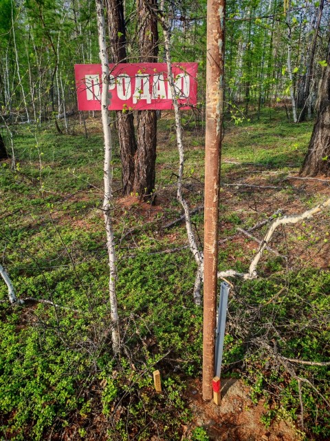 Фото квартиры 2
