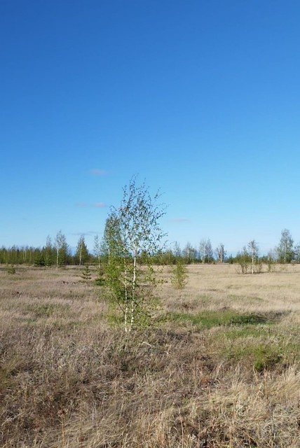 Фото квартиры 2