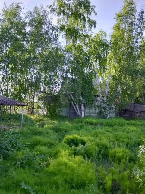 Фото квартиры 3