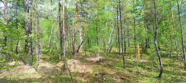 Фото квартиры 2
