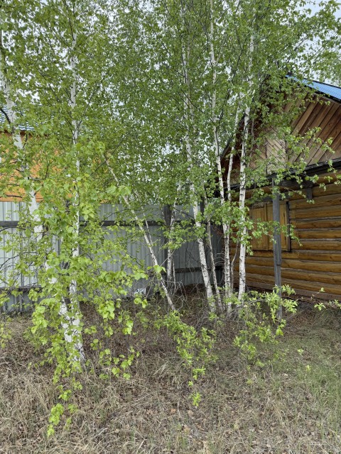 Фото квартиры 3