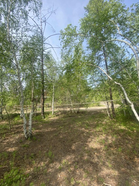 Фото квартиры 2