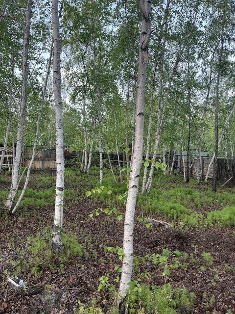 Фото квартиры 3
