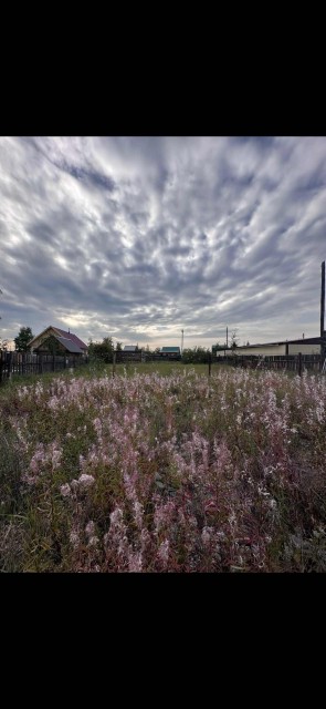 Фото квартиры 3